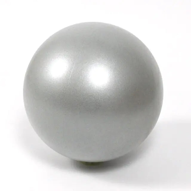 Fitness Yoga Ball